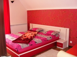 Cabana-Bucovina (21)